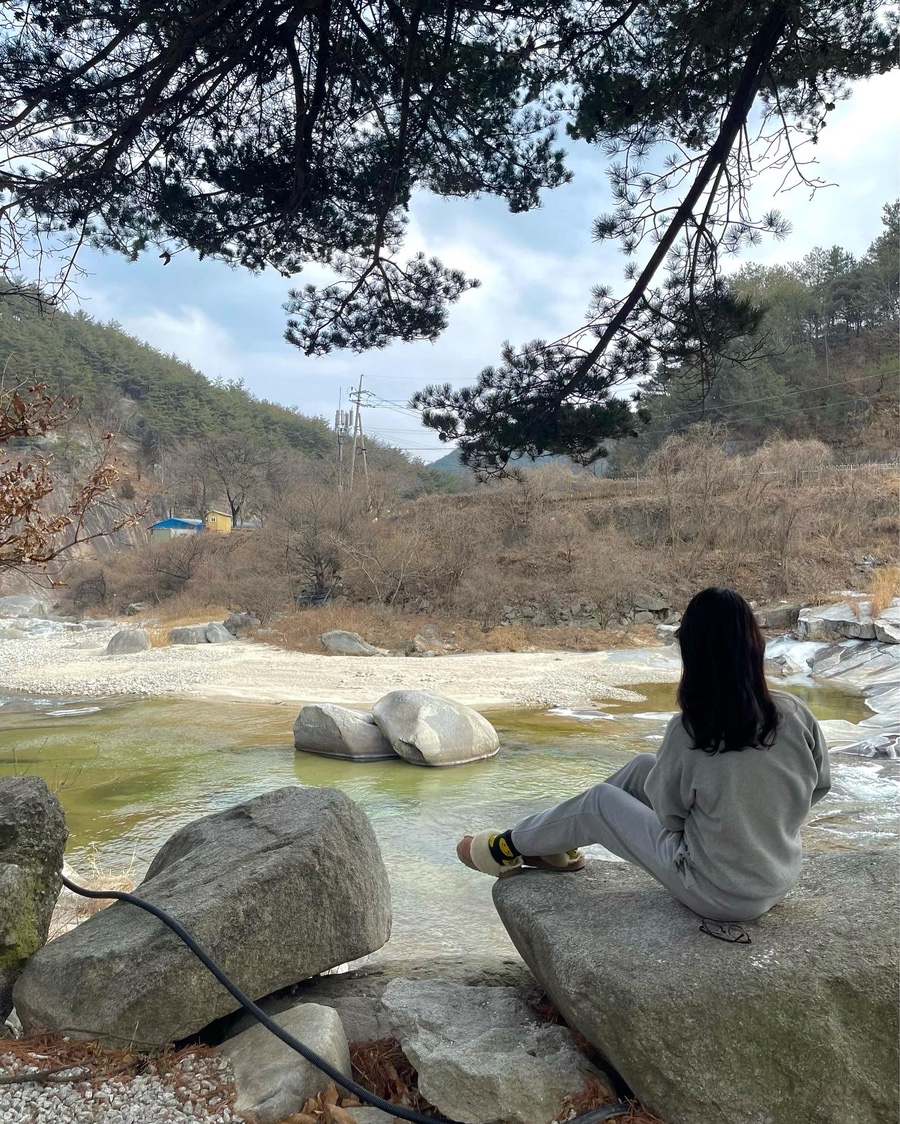 밀림식당 이미지