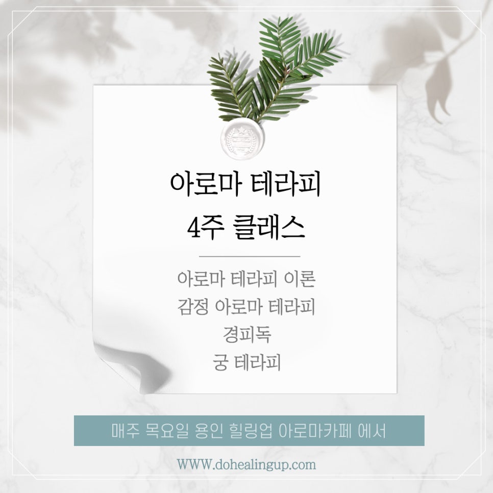 한국아로마교육원 이미지