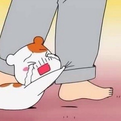 해살이 이미지