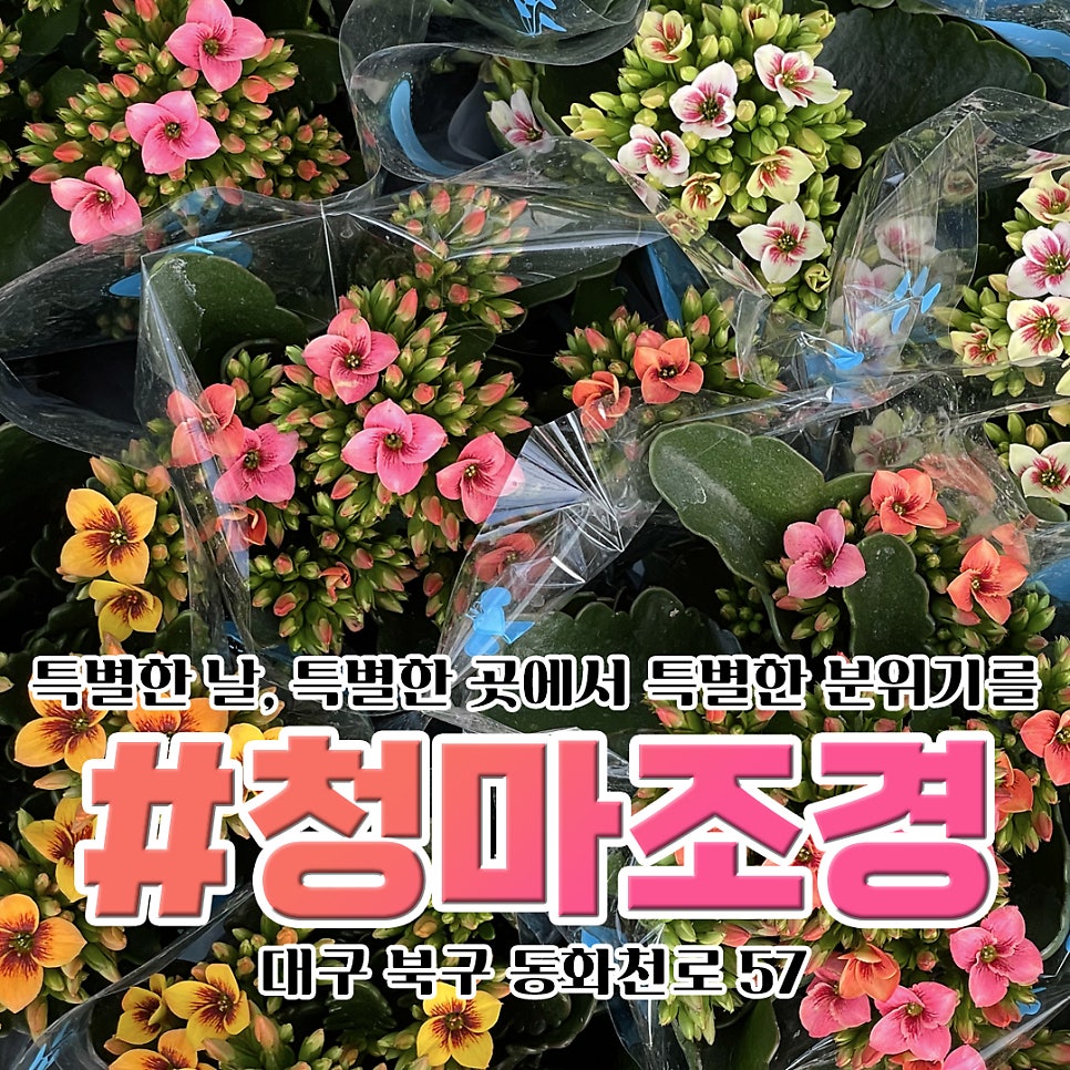 청마조경 이미지