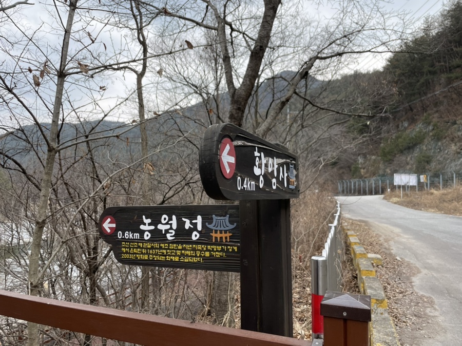 밀림식당 이미지