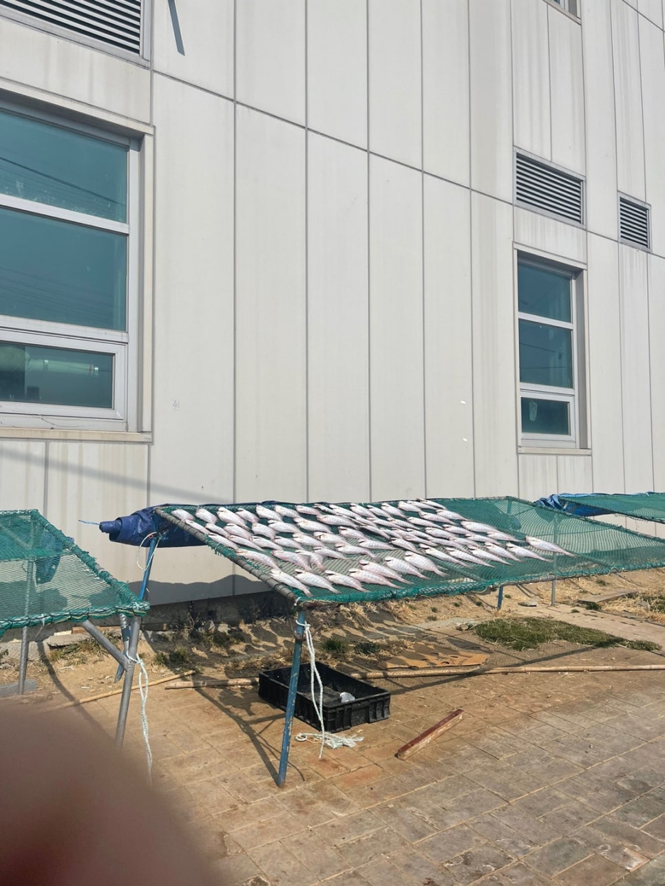 나로도삼치수산 이미지