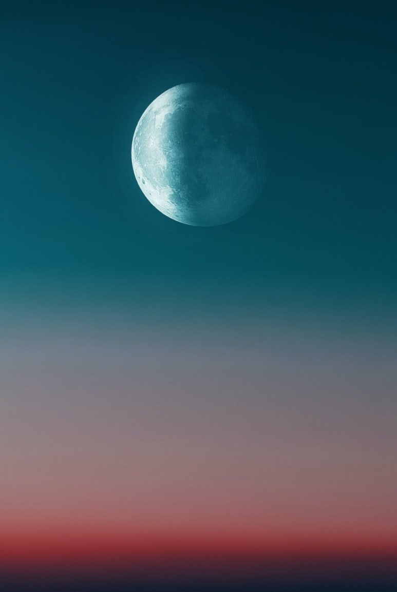 태성푸드 이미지