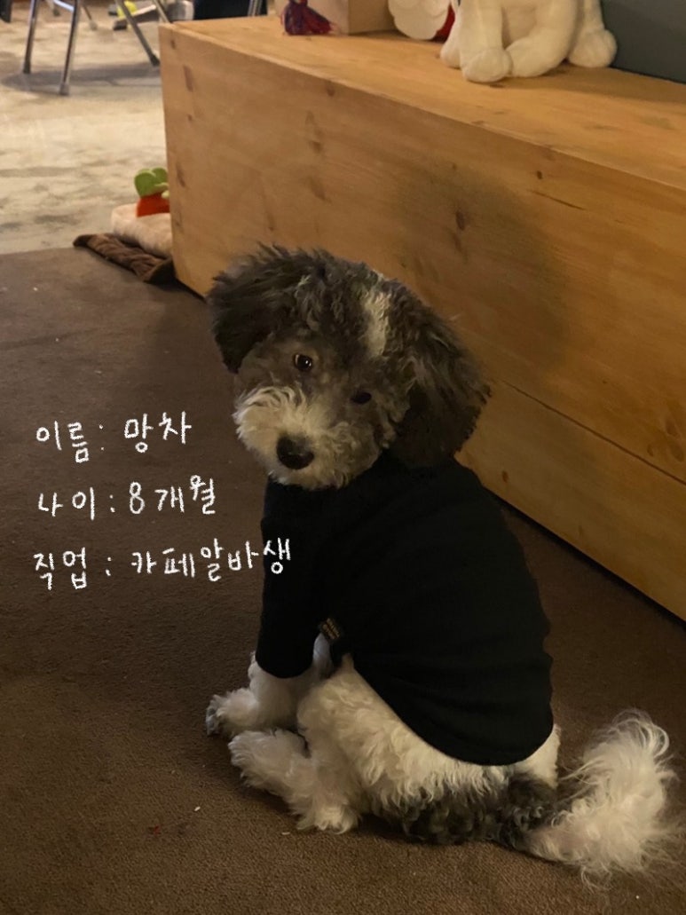 시키카츠 이미지