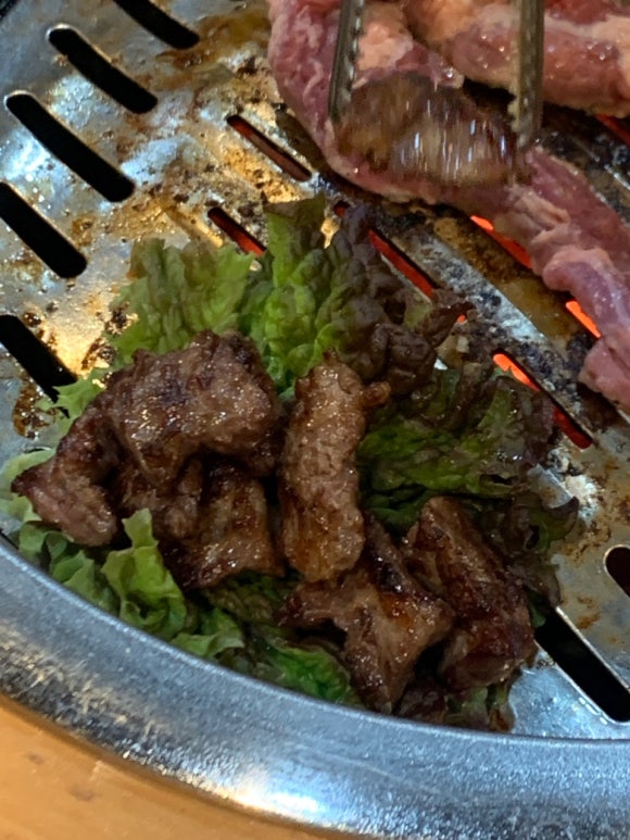 안산갈매기 이미지