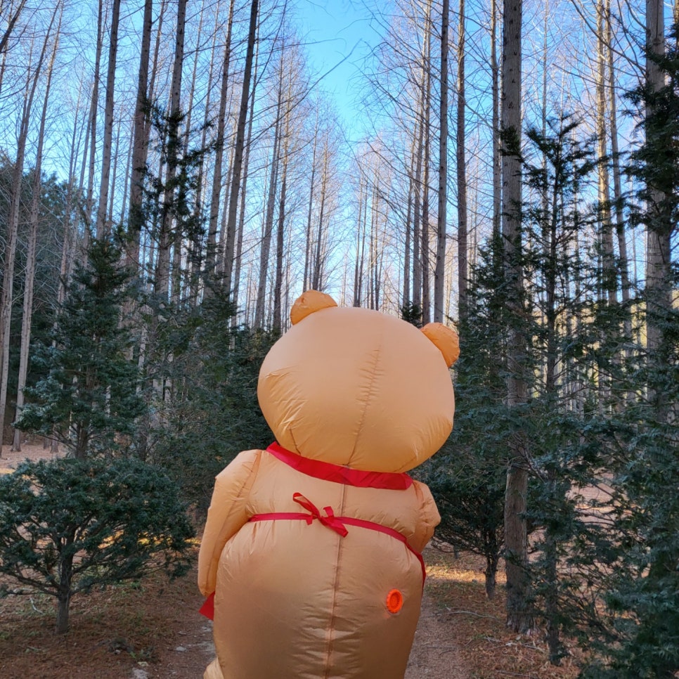 밍뚱이네 이미지