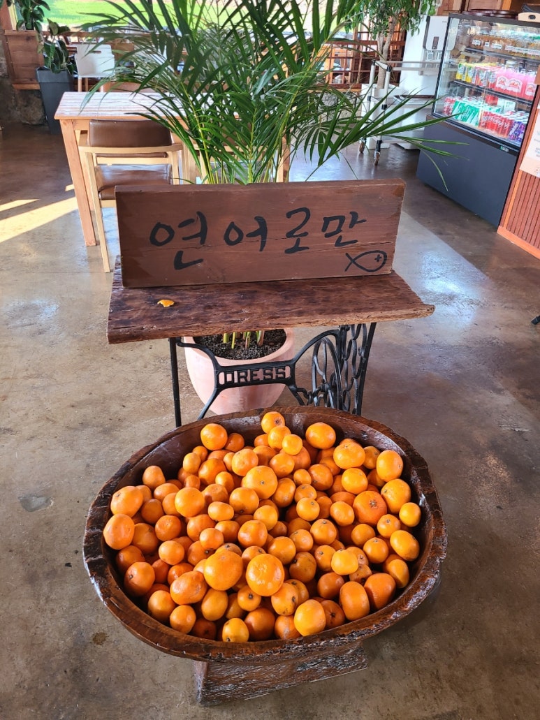 제주연어로만제주점 이미지