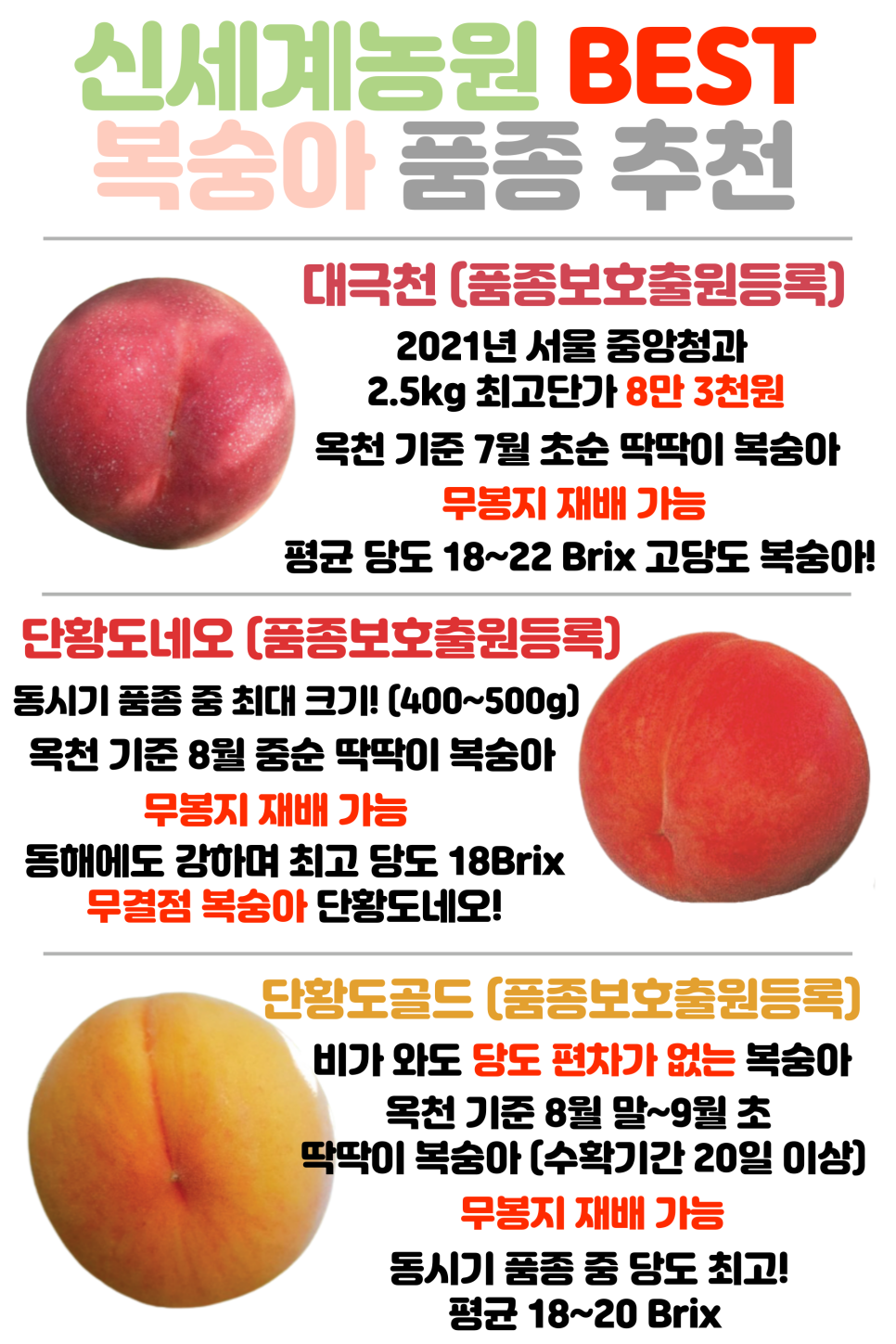 신세계농원 이미지