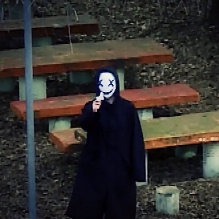 헤이버디 이미지