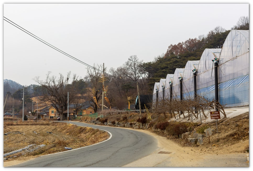 천하종합사료 이미지