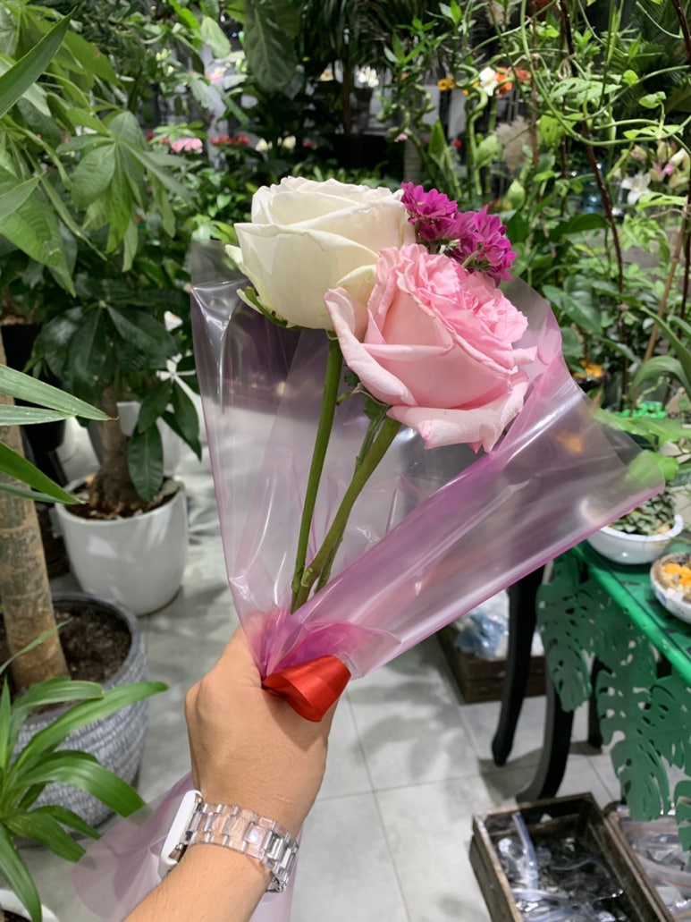 다니엘플라워 이미지