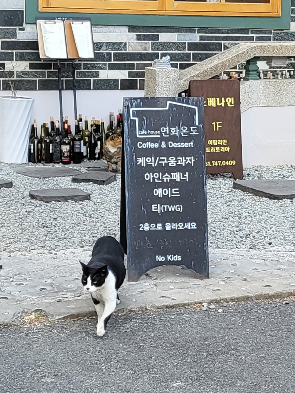 천하카센타 이미지