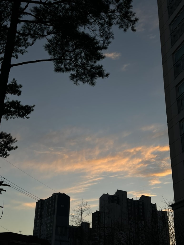 맘스터치옥동점 이미지
