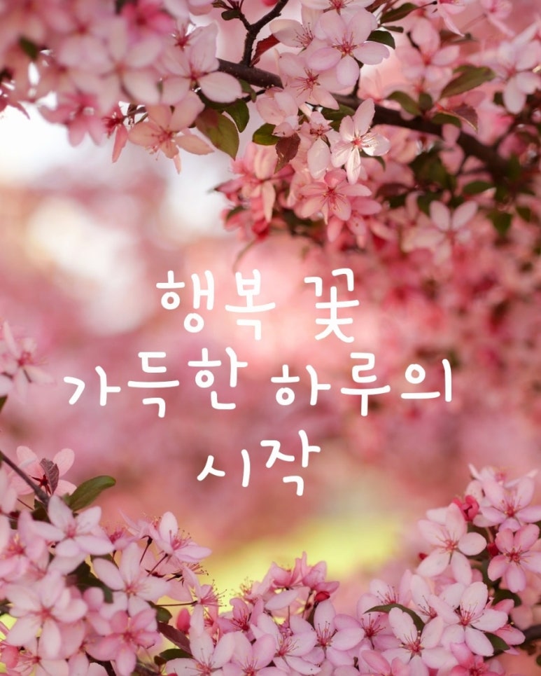 행복꽃 이미지