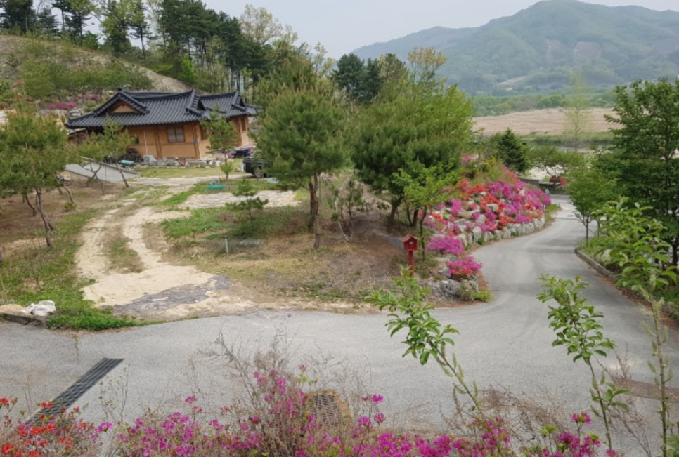 비내청명원 이미지