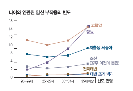 쑥뜸천하 이미지