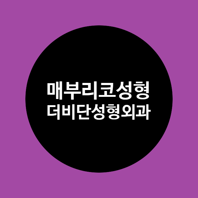 비단라인 이미지