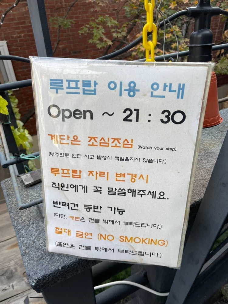 슬리핑포레스트 이미지