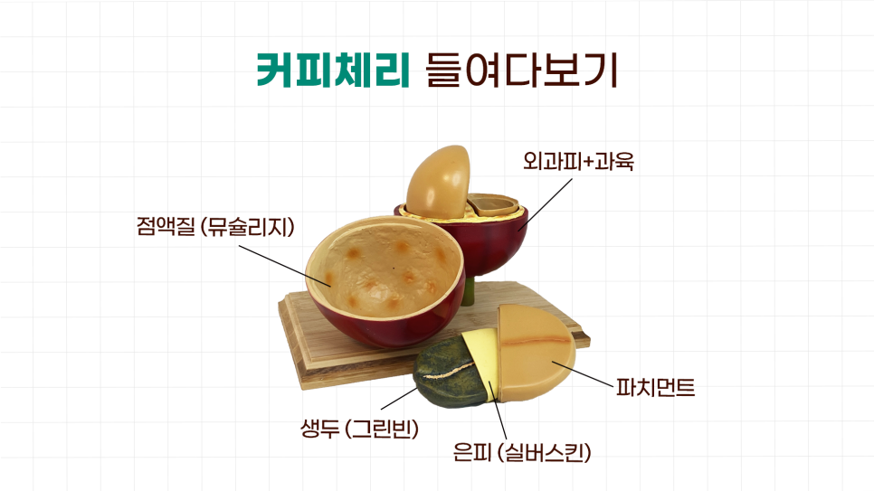 뮤커피 이미지