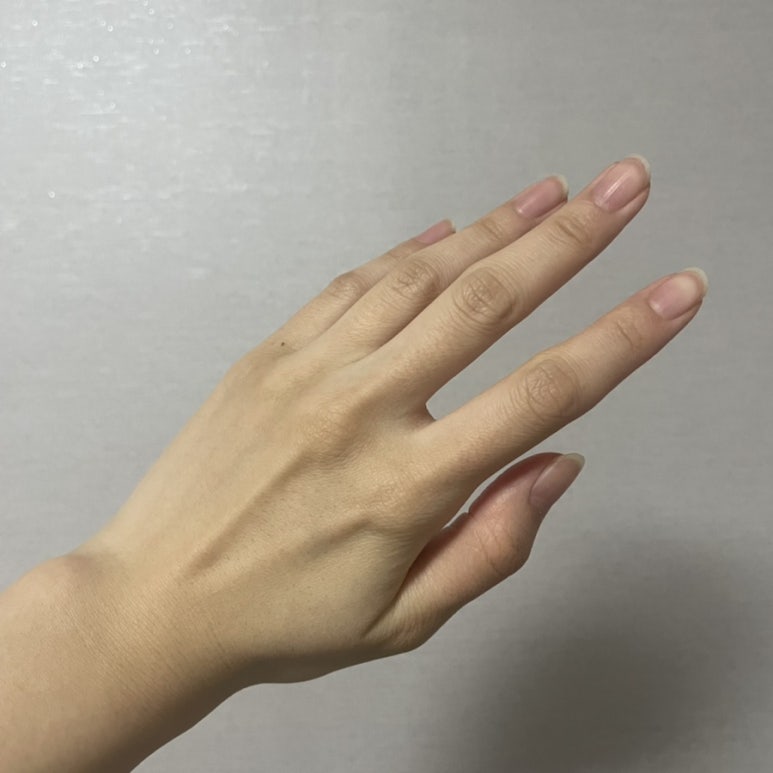 라이즈미 이미지