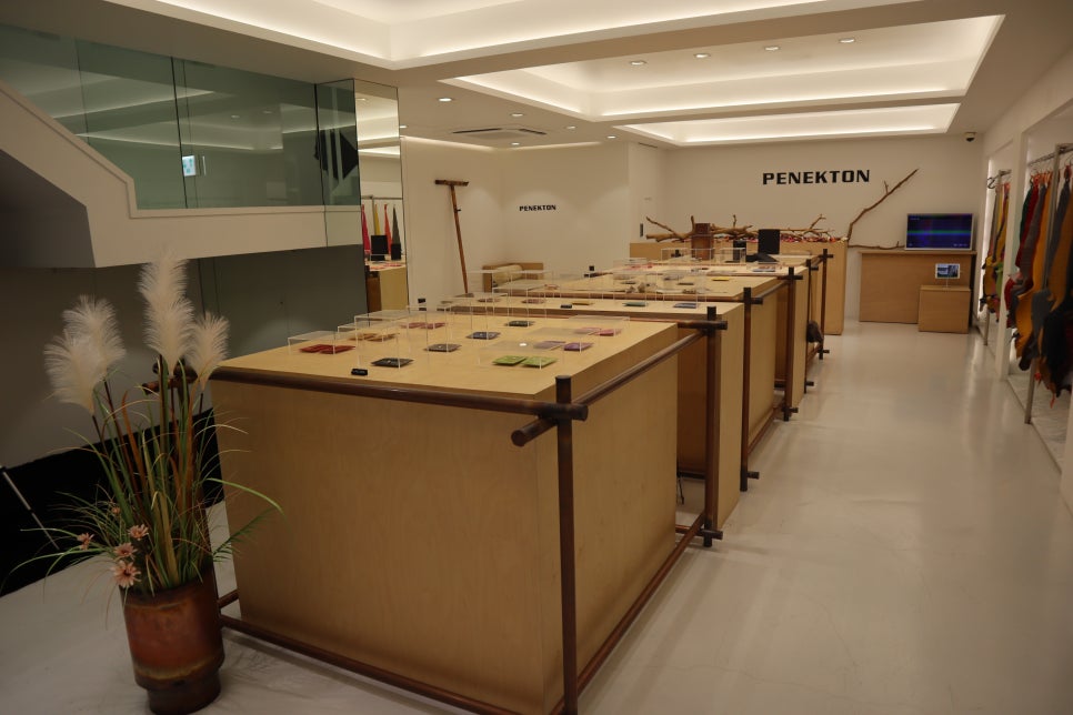 페넥톤(PENEKTON) 이미지