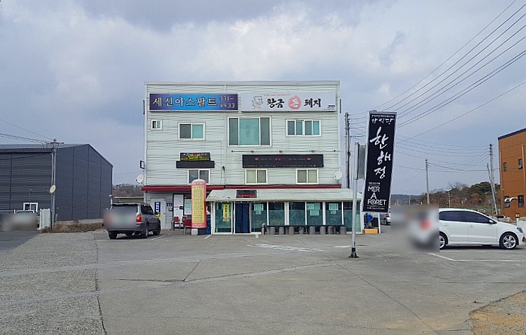 황금돈돼지 이미지
