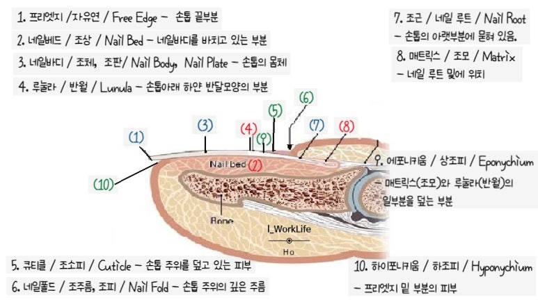 EDGE네일 이미지