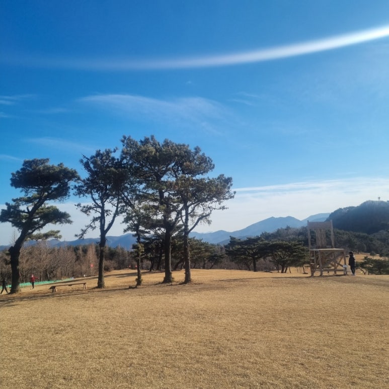 화랑카센타 이미지