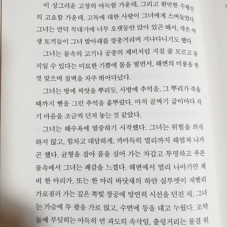 인생전집 이미지