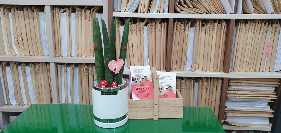 법무법인새날 이미지