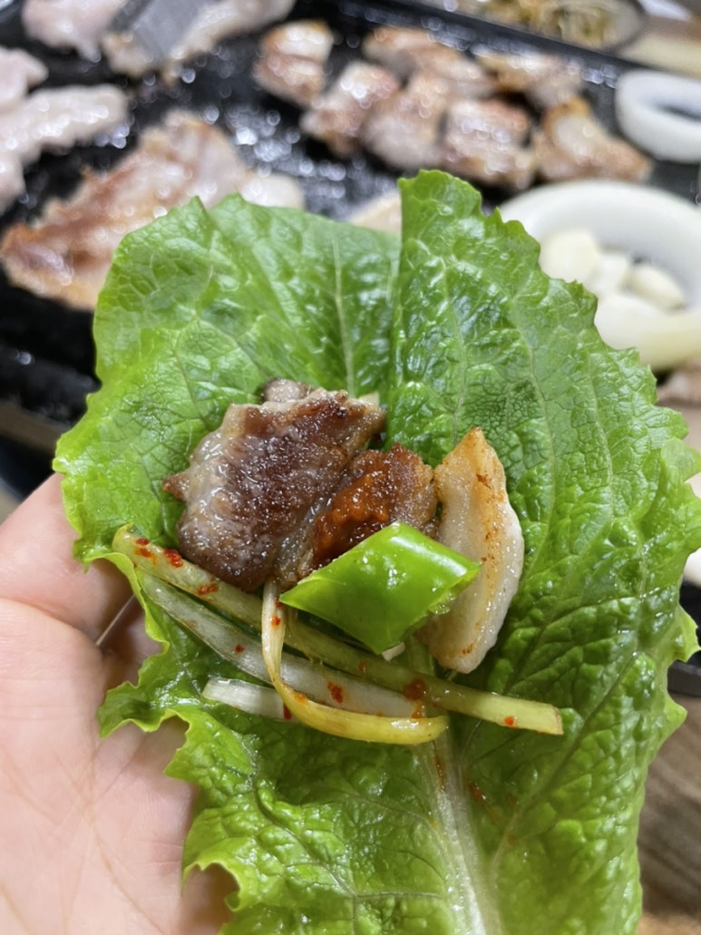 청솔로스 이미지