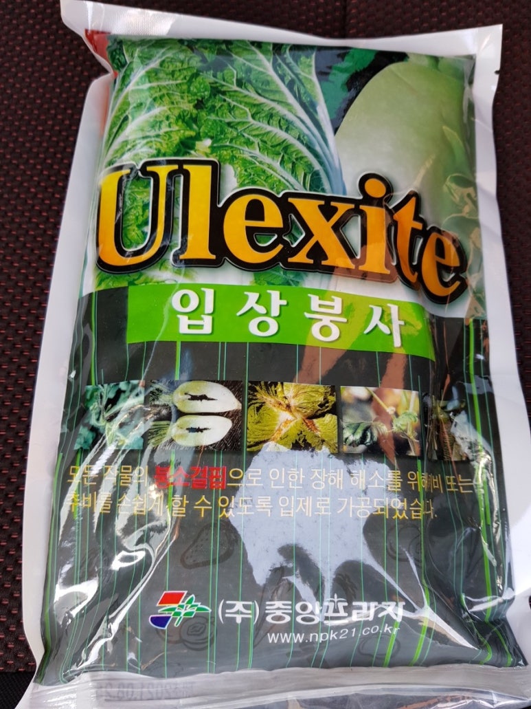 용성땅콩 이미지