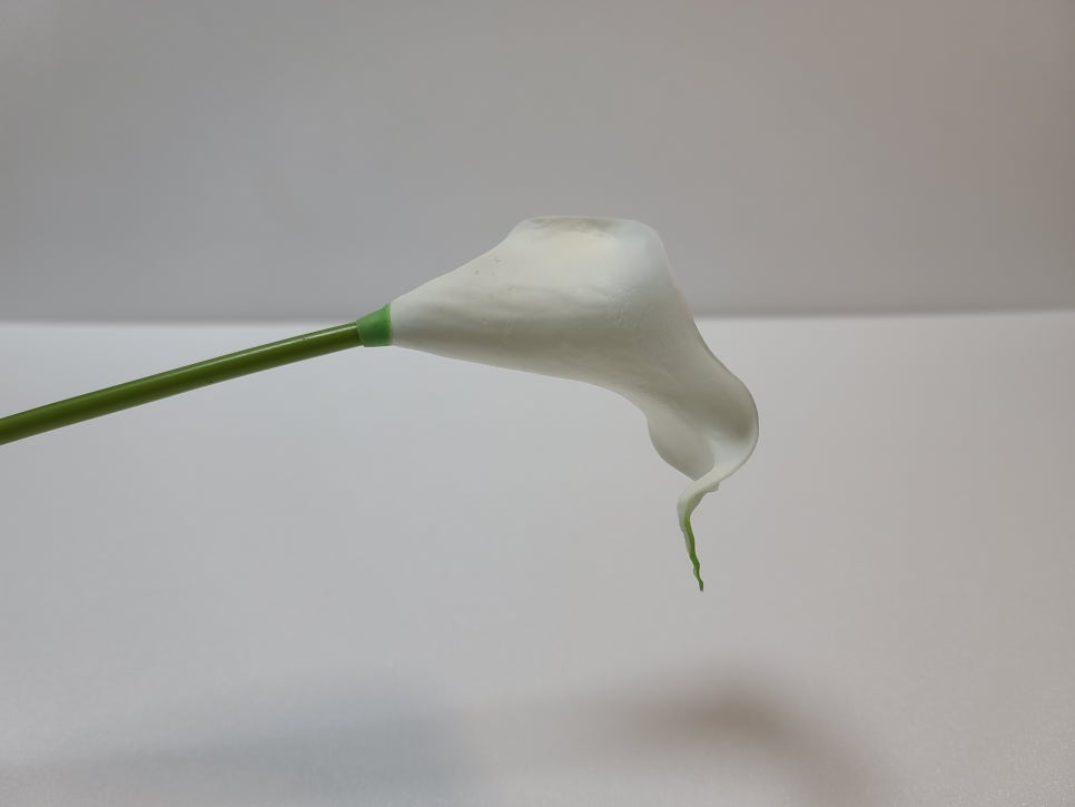 모멘토디자인 이미지