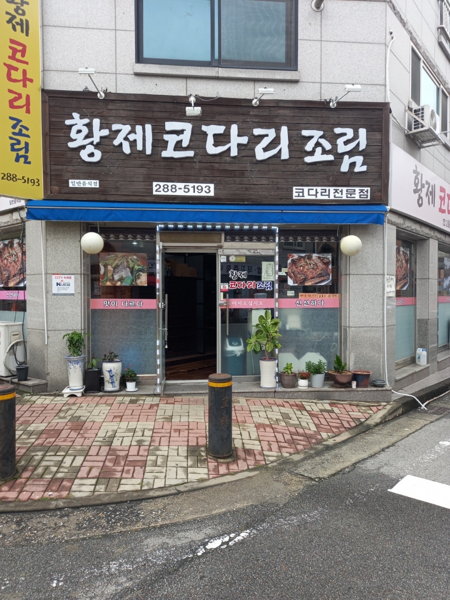 코다리와친구들 이미지