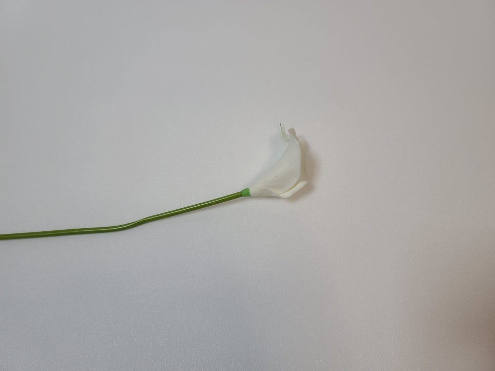 모멘토디자인 이미지