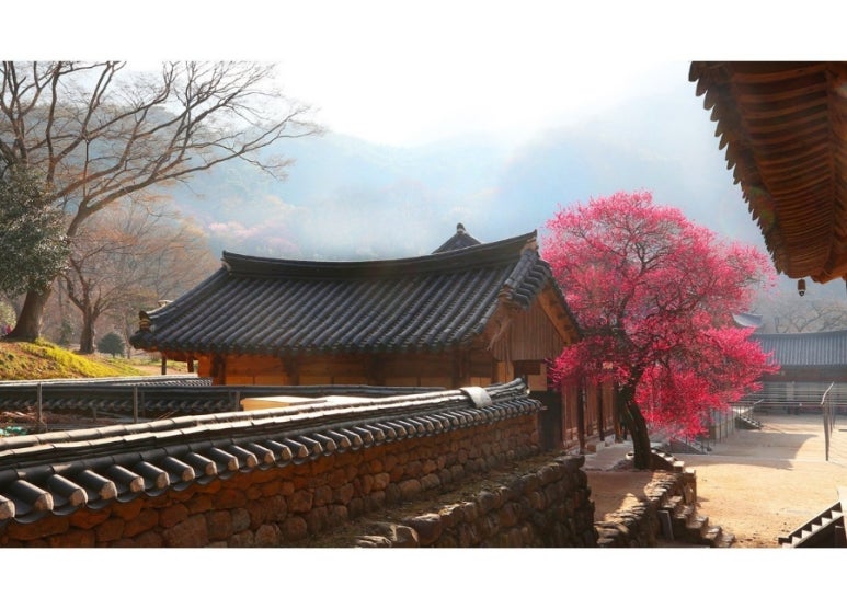 여수39수산 이미지