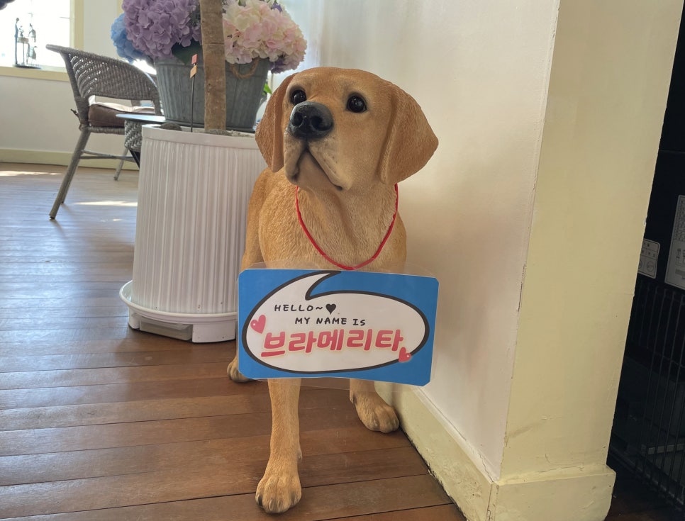 브라메리타 이미지