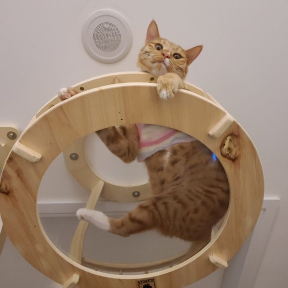 다건 이미지
