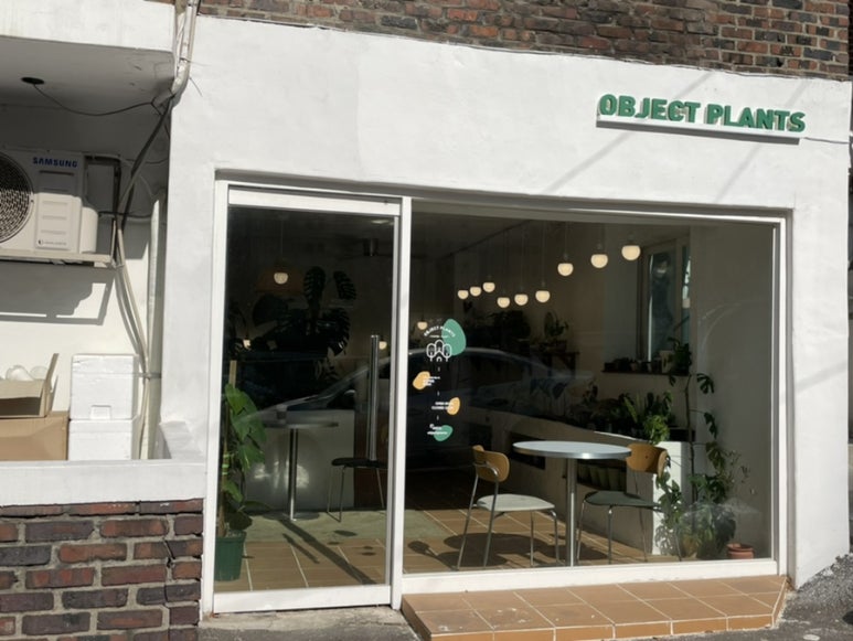 오브젝트플랜츠 이미지