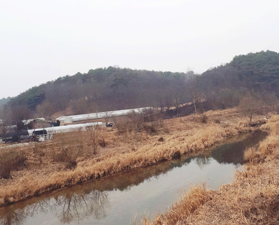 춘천장어마을 이미지