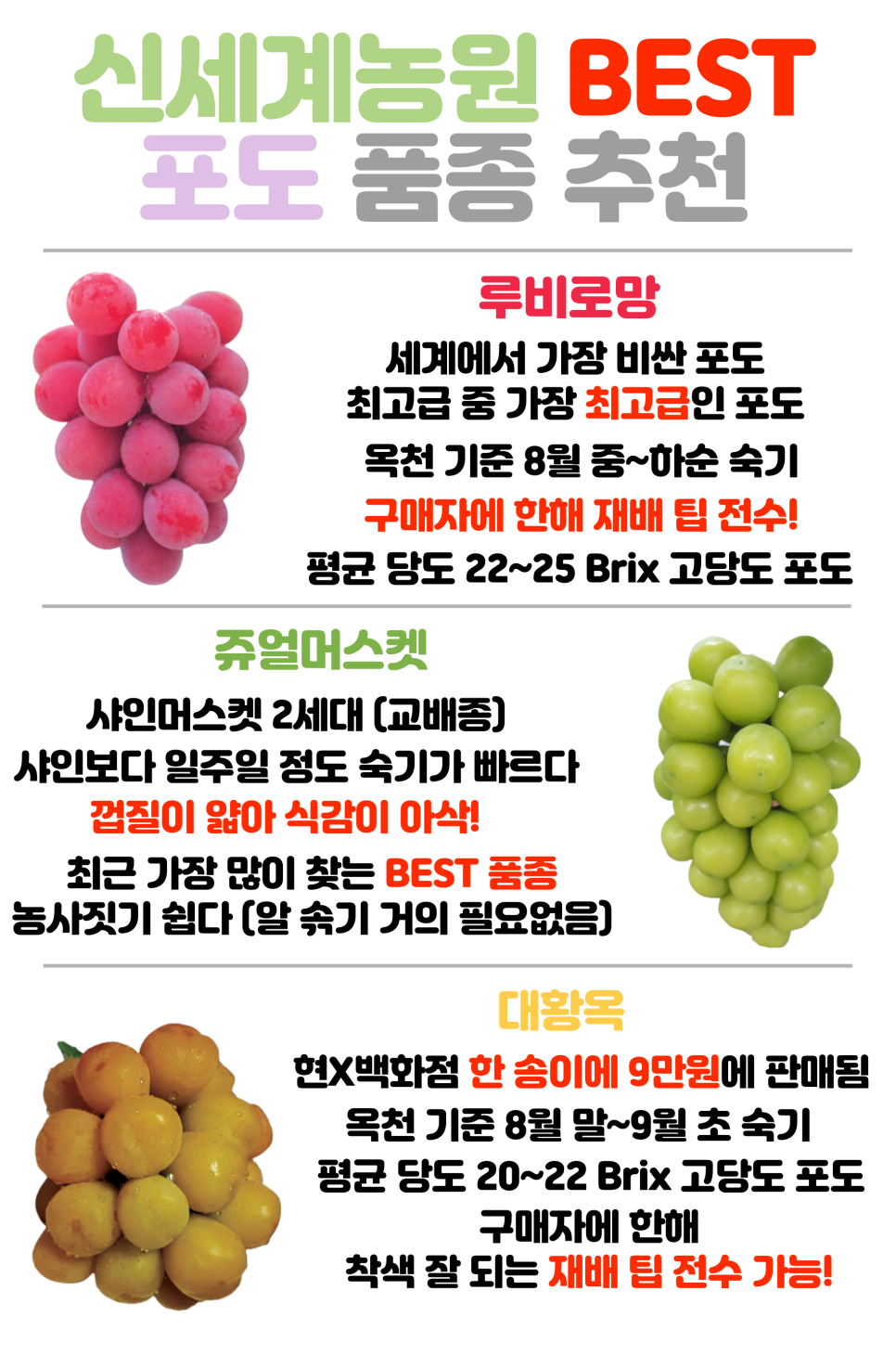 신세계농원 이미지