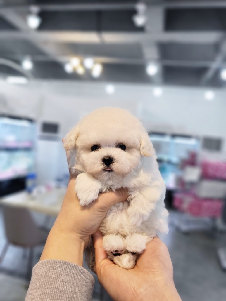광교참좋은병원 이미지