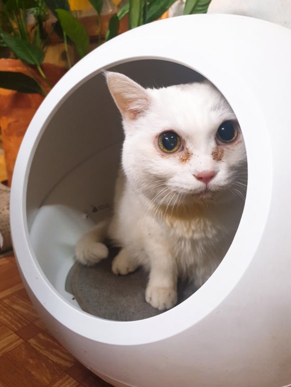 그린밀베이커리 이미지