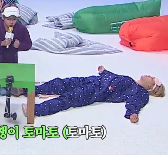 네일로91 이미지