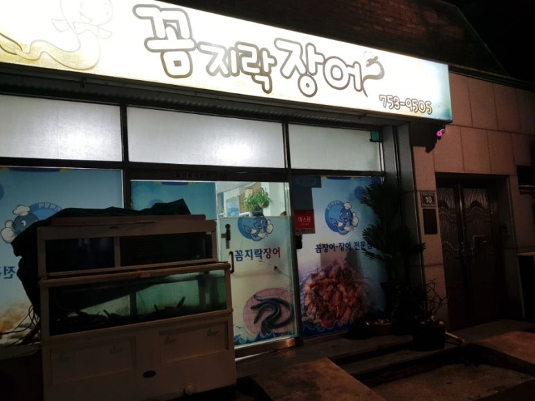 꼼지락장어 이미지