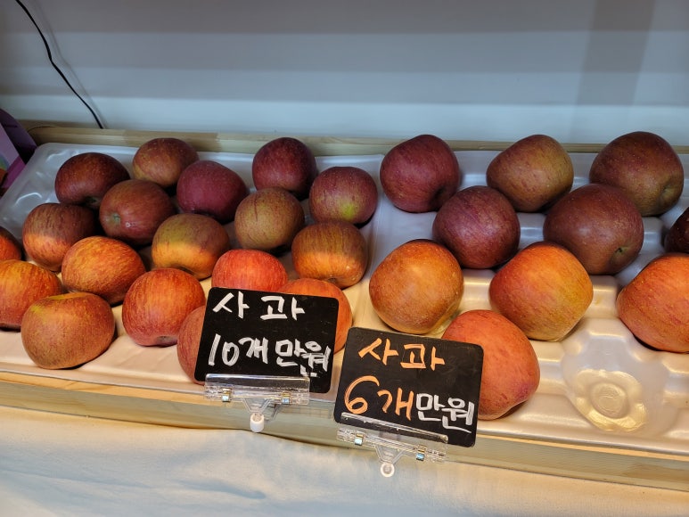 과일_츄릅 이미지