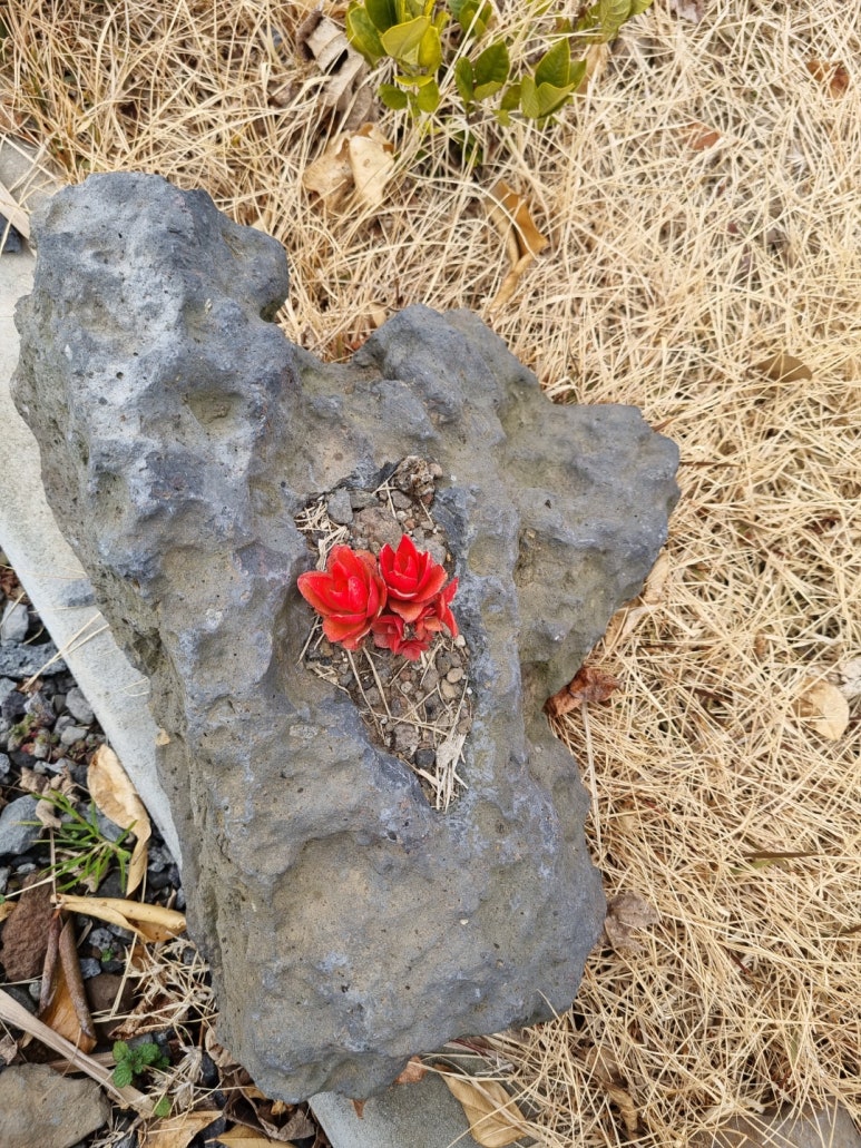숨민박 이미지