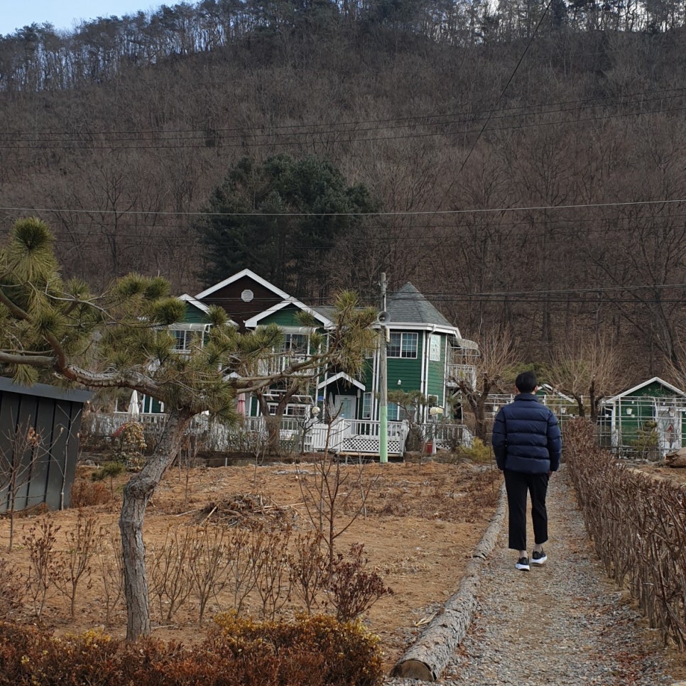 펜션쉐네베르그 이미지