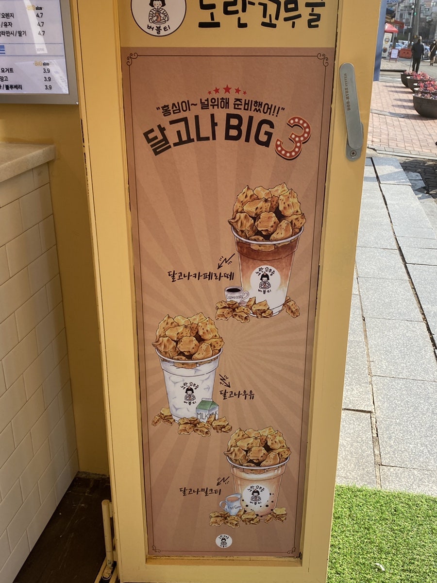 노란꼬무줄 이미지