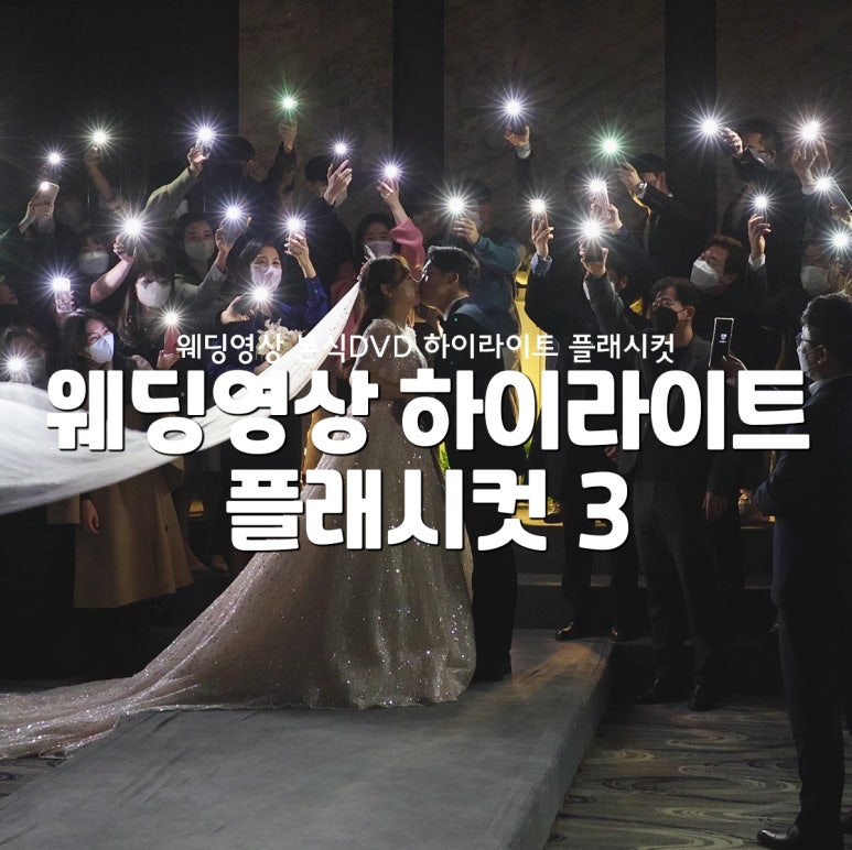 플래쉬컷 이미지